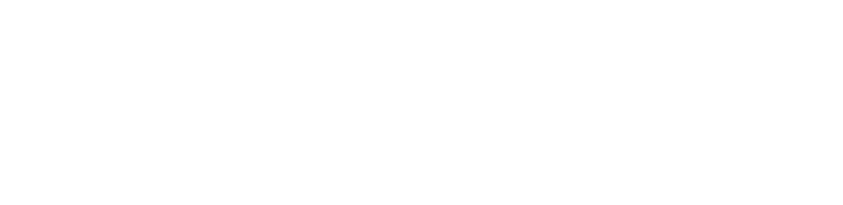 SLDX Logo