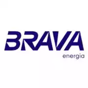 BRAV3